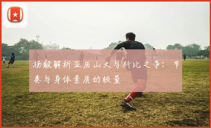 杨毅解析亚历山大与科比之争：节奏与身体素质的较量
