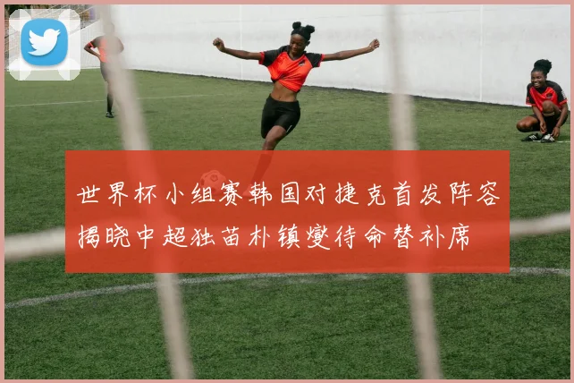 世界杯小组赛韩国对捷克首发阵容揭晓中超独苗朴镇燮待命替补席