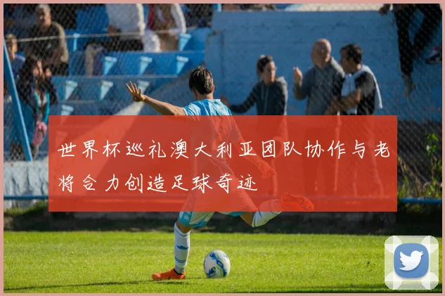 世界杯巡礼澳大利亚团队协作与老将合力创造足球奇迹