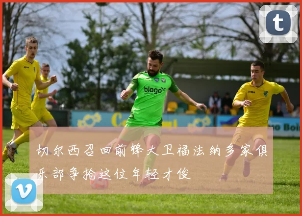 切尔西召回前锋大卫福法纳多家俱乐部争抢这位年轻才俊