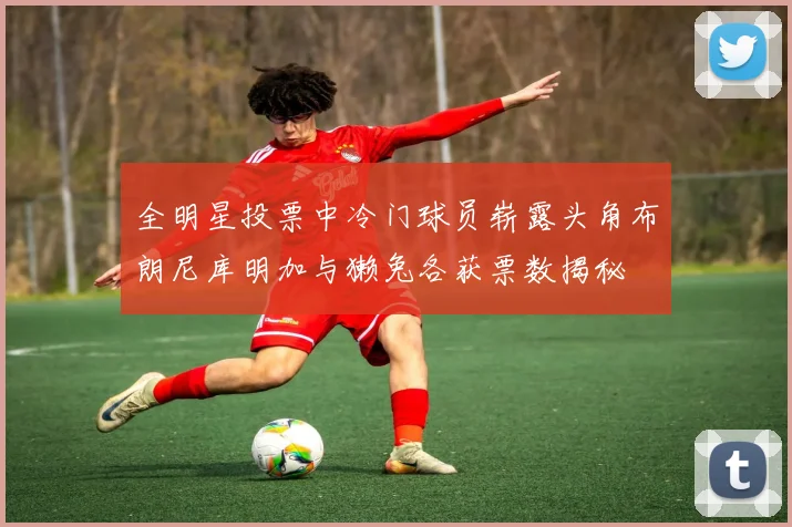 全明星投票中冷门球员崭露头角布朗尼库明加与獭兔各获票数揭秘